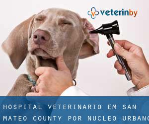 Hospital veterinário em San Mateo County por núcleo urbano - página 2