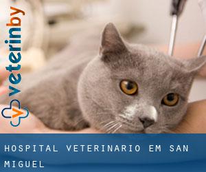 Hospital veterinário em San Miguel