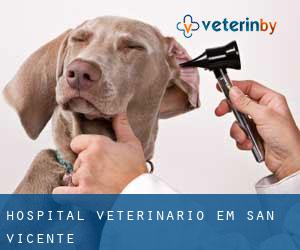 Hospital veterinário em San Vicente