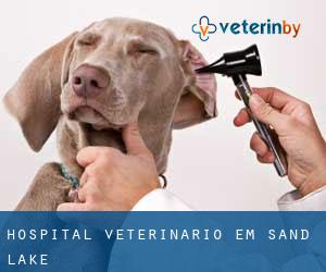 Hospital veterinário em Sand Lake