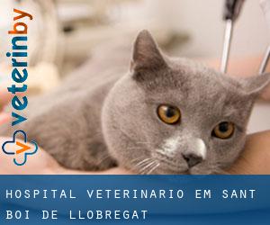 Hospital veterinário em Sant Boi de Llobregat