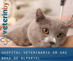 Hospital veterinário em São Brás de Alportel