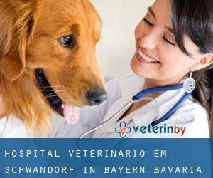 Hospital veterinário em Schwandorf in Bayern (Bavaria)