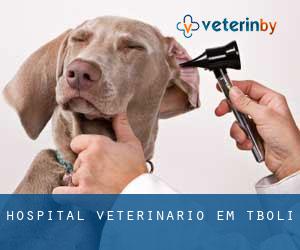 Hospital veterinário em T`boli