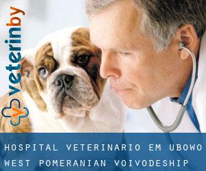 Hospital veterinário em Łubowo (West Pomeranian Voivodeship)