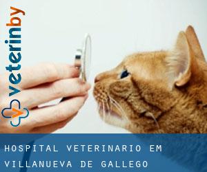 Hospital veterinário em Villanueva de Gállego