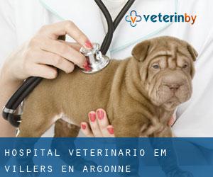 Hospital veterinário em Villers-en-Argonne
