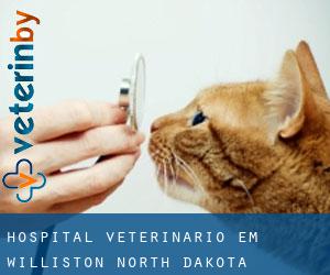 Hospital veterinário em Williston (North Dakota)