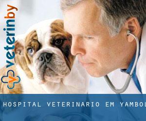 Hospital veterinário em Yambol