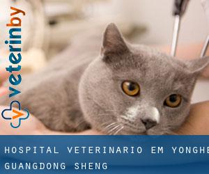 Hospital veterinário em Yonghe (Guangdong Sheng)