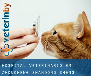 Hospital veterinário em Zhoucheng (Shandong Sheng)