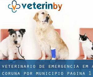 Veterinário de emergência em A Coruña por município - página 1