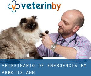 Veterinário de emergência em Abbotts Ann