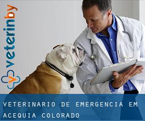 Veterinário de emergência em Acequia (Colorado)