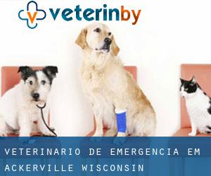 Veterinário de emergência em Ackerville (Wisconsin)
