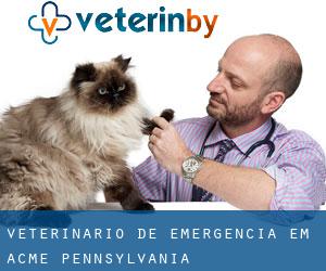 Veterinário de emergência em Acme (Pennsylvania)
