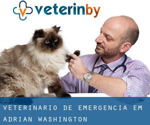 Veterinário de emergência em Adrian (Washington)
