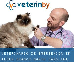 Veterinário de emergência em Alder Branch (North Carolina)