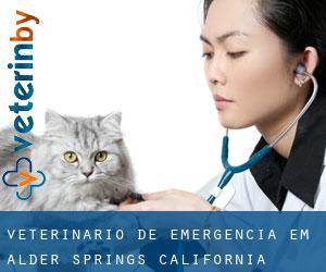 Veterinário de emergência em Alder Springs (California)