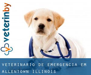 Veterinário de emergência em Allentown (Illinois)