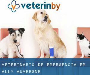 Veterinário de emergência em Ally (Auvergne)