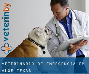 Veterinário de emergência em Aloe (Texas)