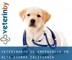Veterinário de emergência em Alta Sierra (California)