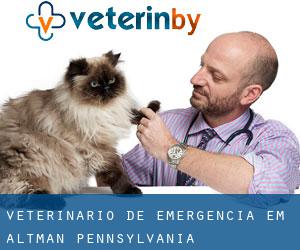 Veterinário de emergência em Altman (Pennsylvania)