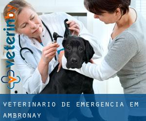 Veterinário de emergência em Ambronay