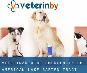 Veterinário de emergência em American Lake Garden Tract