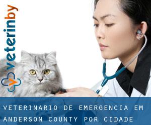 Veterinário de emergência em Anderson County por cidade - página 1