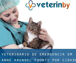 Veterinário de emergência em Anne Arundel County por cidade importante - página 20