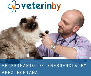 Veterinário de emergência em Apex (Montana)