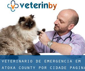 Veterinário de emergência em Atoka County por cidade - página 1