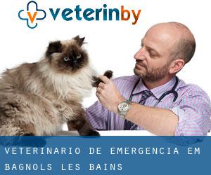 Veterinário de emergência em Bagnols-les-Bains