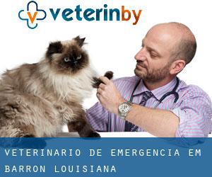 Veterinário de emergência em Barron (Louisiana)