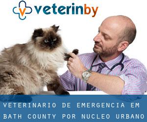 Veterinário de emergência em Bath County por núcleo urbano - página 1