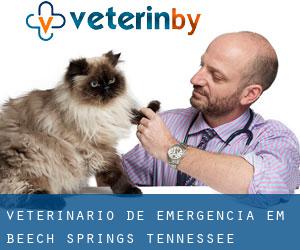 Veterinário de emergência em Beech Springs (Tennessee)