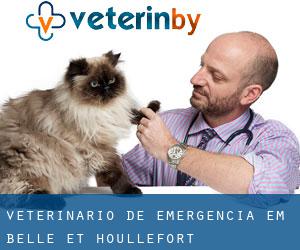Veterinário de emergência em Belle-et-Houllefort