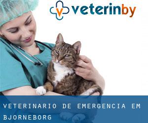 Veterinário de emergência em Björneborg