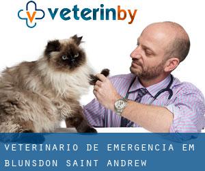 Veterinário de emergência em Blunsdon Saint Andrew