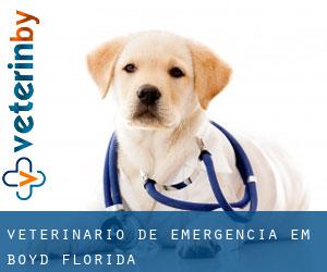 Veterinário de emergência em Boyd (Florida)
