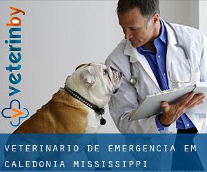Veterinário de emergência em Caledonia (Mississippi)
