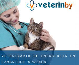 Veterinário de emergência em Cambridge Springs