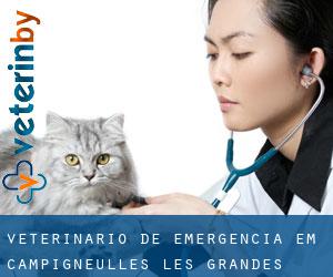 Veterinário de emergência em Campigneulles-les-Grandes