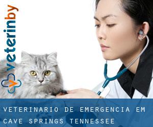 Veterinário de emergência em Cave Springs (Tennessee)