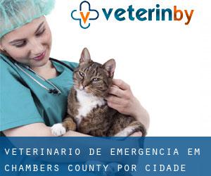 Veterinário de emergência em Chambers County por cidade - página 1