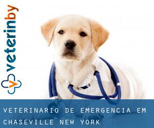 Veterinário de emergência em Chaseville (New York)
