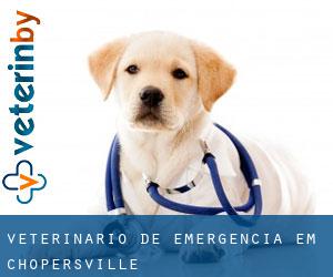 Veterinário de emergência em Chopersville