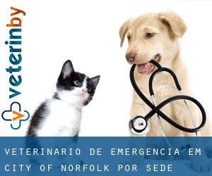 Veterinário de emergência em City of Norfolk por sede cidade - página 1